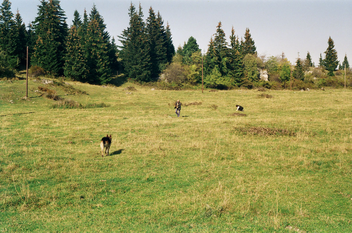 Hodel/Schumacher/Clavadetscher