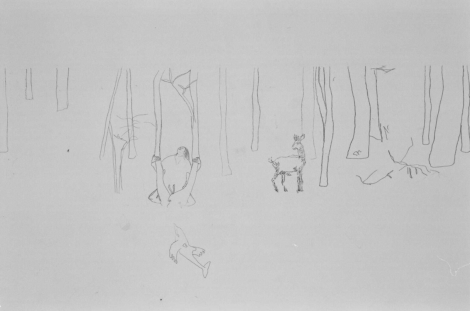 Hodel/Schumacher/Clavadetscher, Wald Galerie Martin Janda Wien